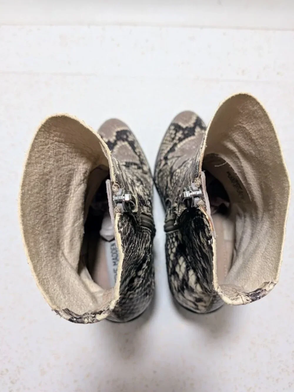 Steve Madden Rewind Snakeskin Ankle Booties Block Heel Women's 6 REWI01S1